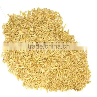 Organic Chinese Oat/hulless Oat photo-2