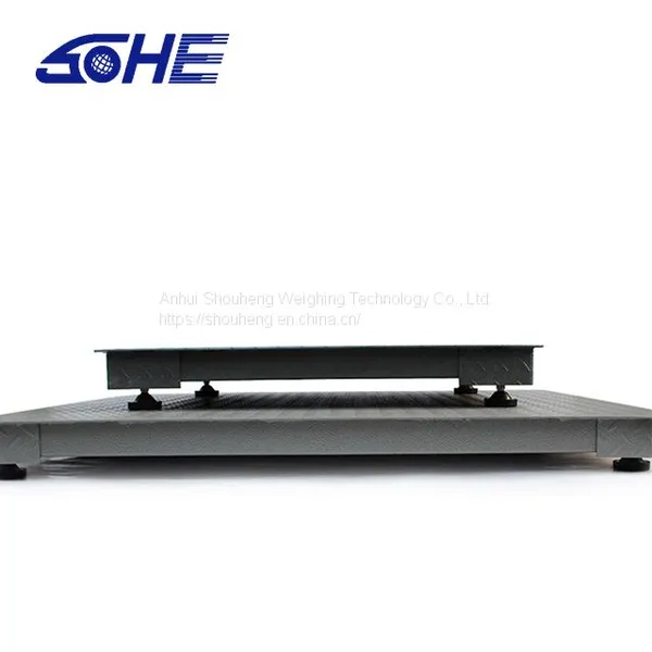 Made in China Industrial Electronic Scales Dedicated to Fresh Agricultural Products Electronic Scales photo-2