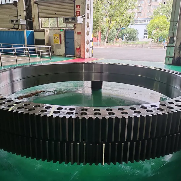 Rotary Kiln Girth Gear With 5-Year Warranty and Precision Alignment Service photo-4