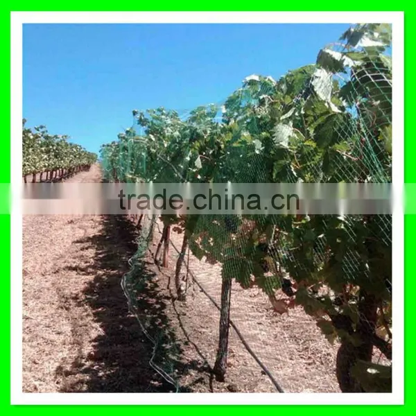 Anti Bird Net for Shrimp Pond Cover/bird Mist Netting photo-4