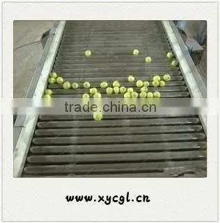Vegetable Drying Machine photo-3