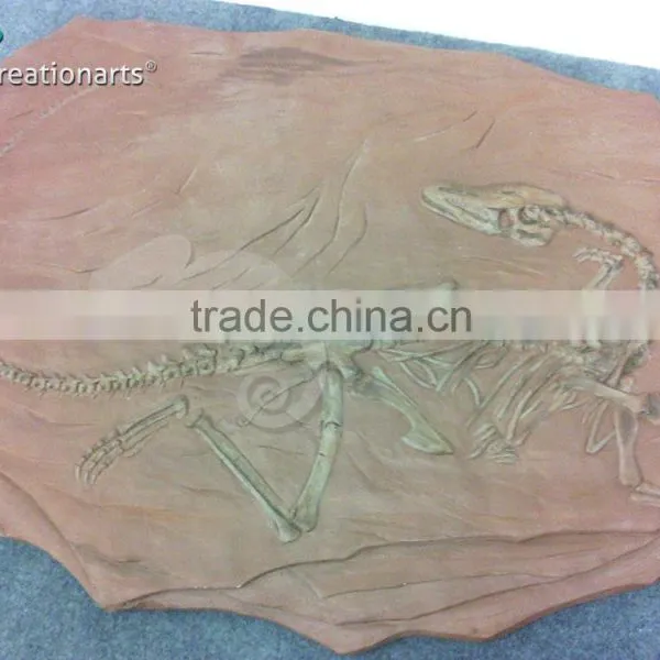 Hot Sale Fiberglass Life Size Dinosaur Skull photo-5