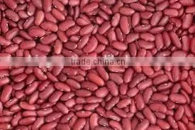 2015 New Crop Red Kidney Beans Shandong photo-5