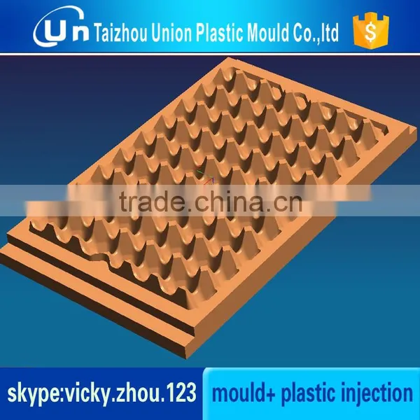 Chinese Taizhou High Quality Hot Sell Useful Plastic Egg Tray Factory photo-3