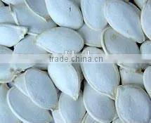 GWS Snow White Pumpkin Seeds Shine Skin Pumpkin Seeds Baked Pumpkin Seeds Recipe photo-5