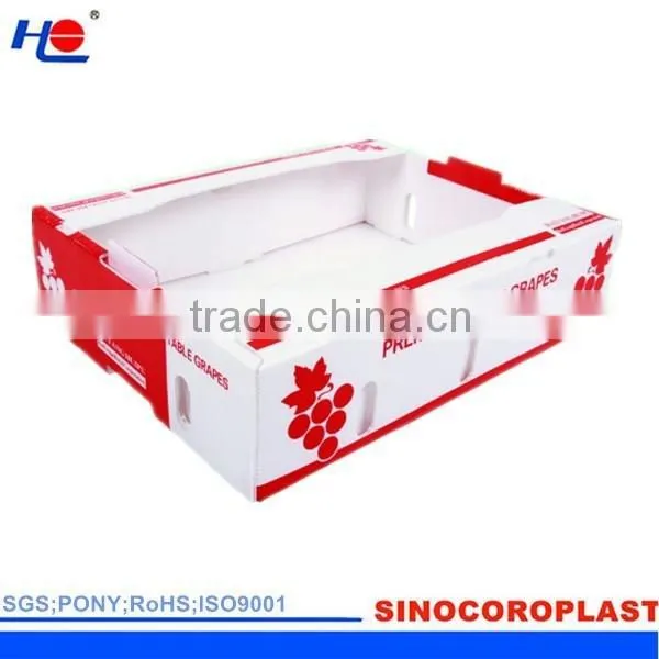 Plastic Corrugated Box Container photo-5