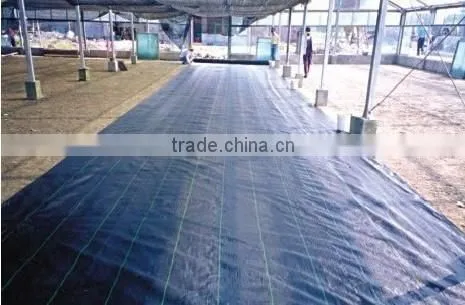 Landscape Fabric,Weed Barrier in Low Price of High Quality photo-4
