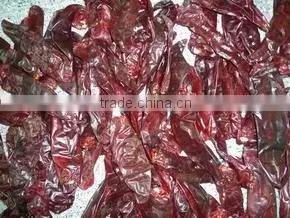 Sweet Paprika Pods photo-2
