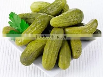 Viet Nam Pickled Cucumber in Jar photo-3