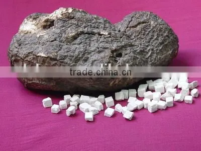 China Company Food Ingredient 100% Natural Poria Cocos Extract Powder , Tuckahoe Fuling Powder photo-2