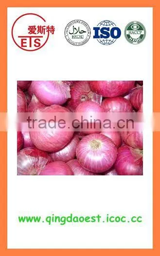 Fresh Red Onion FOR SALE photo-5