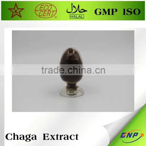 Wholesale Nutritional Supplement Chaga photo-3