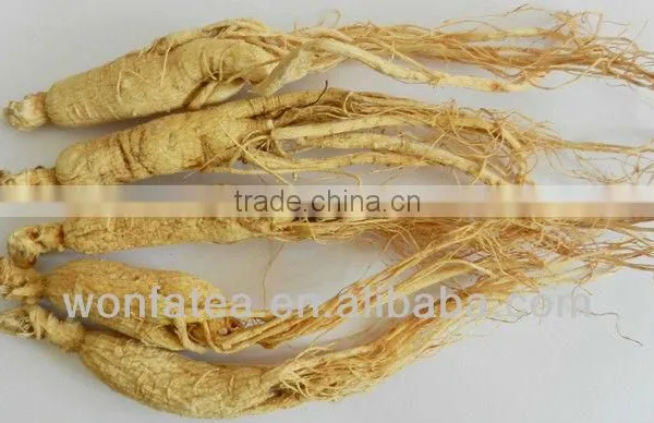 Herbal Ginseng Tea