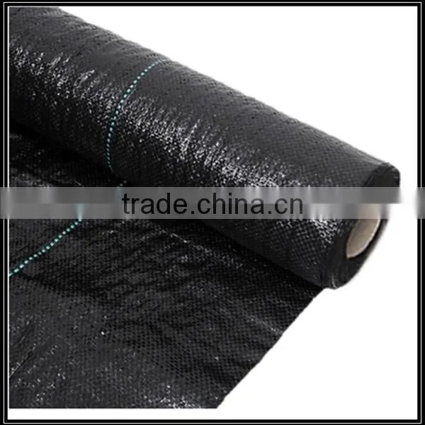 PP Woven Geotextile Price for Highway Railway Agriculture photo-5