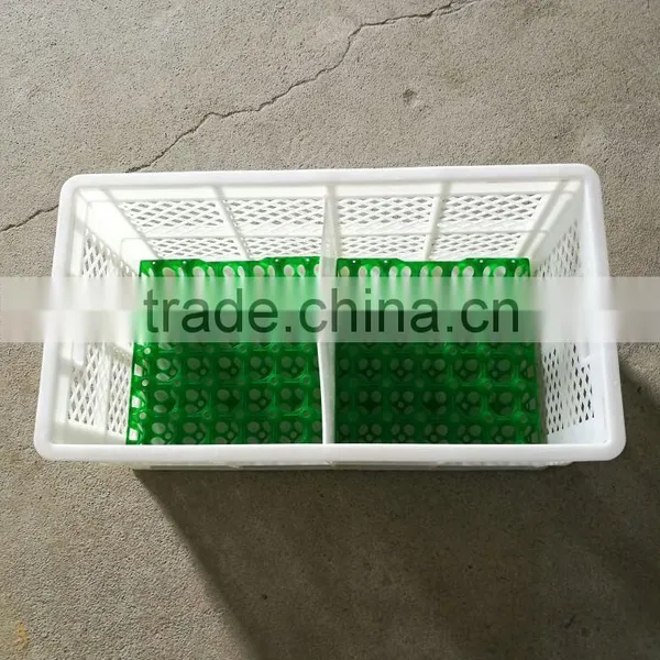 High Quality 30 Hole Plastic Chicken Egg Packing Tray photo-2