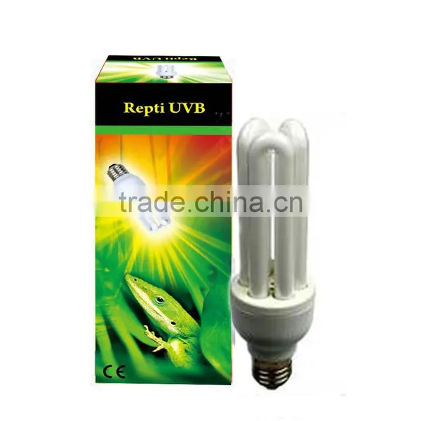 Reptile Light photo-2