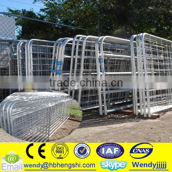 Fence Panel/welded Fence/fence Gate