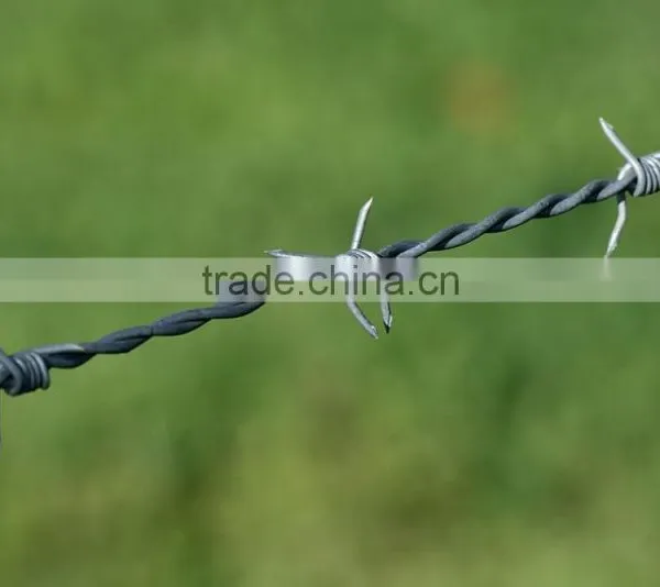 Cheap Hot Sales Razor Barbed Wire photo-3