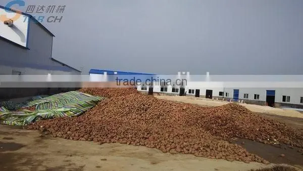 Supply Full Automatic Turnkey Yam Starch Production Line With Competitive Price photo-4