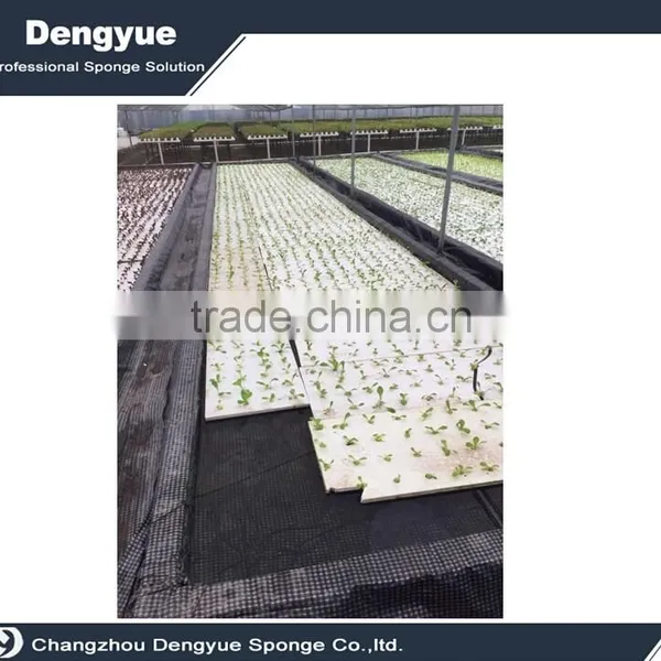 Agricultural Soilless Vertical Seed Germination Foam Tray photo-4