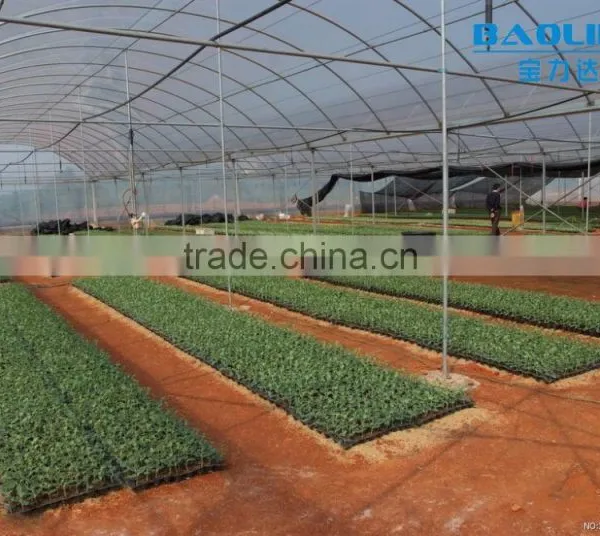 Large Plastic Film Greenhouse With Control System for Plant Growth photo-3