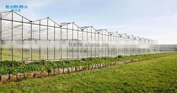 Chengdu BaoLiDa Low Price Polycarbonate Greenhouse pc Sheet Greenhouse photo-5