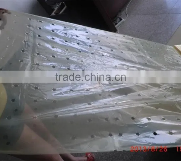 Exported Agricultural Perforated Plastic Film for Tomato Cover photo-2