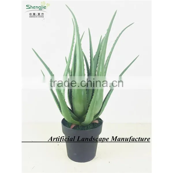 SAS201607 Artificial Green Plant for Indoor Decoration photo-4