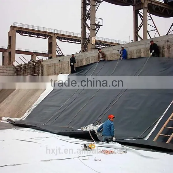 High Quality Seepage Proofing Waterproofing Geomembrane Price photo-2