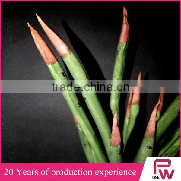 Cheap Artificial Succulent Plants Artificial Tropical Plant photo-2