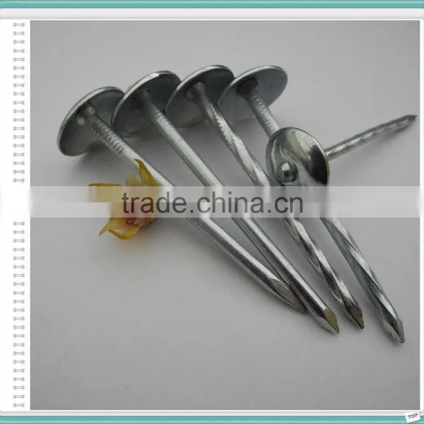 Umbrella Head Roofing Nail of 50kg Gunny Bag photo-6