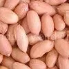 Peanut in Shell