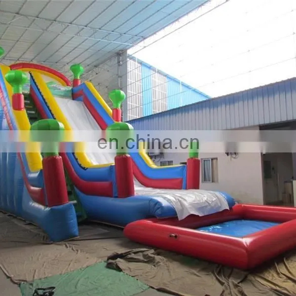 Professional Park Slides Slip n Giant Inflatable Water Slide for Adult Made in China photo-4