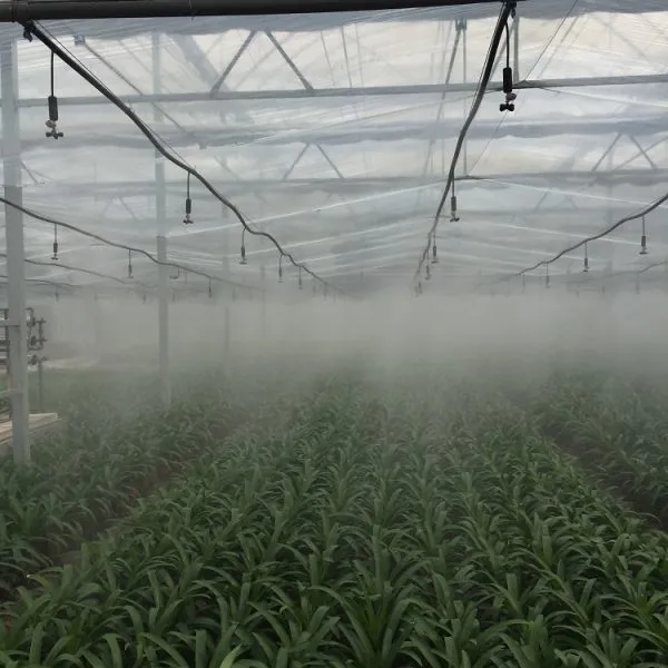 8m Span Multispan Plastic Film Greenhouse for Vegetable/Flower Growing photo-4