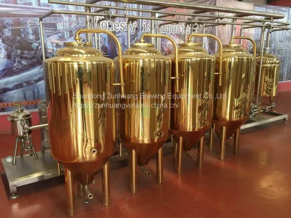 300L/ 2BBL Titanium Plating Stainless Steel Beer Fermentation Tank Beer Fermenter photo-5