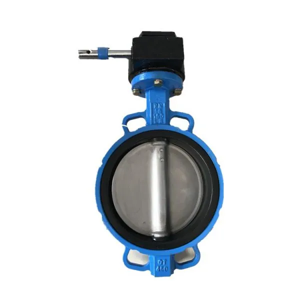 JIS Marine Valve Cast Iron Butterfly Valve F7480