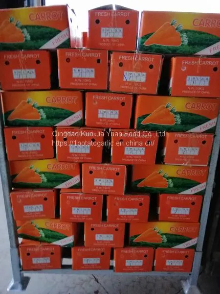 Fresh Carrots photo-3
