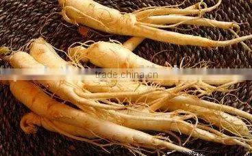 Compound Ginseng Massage Oil
