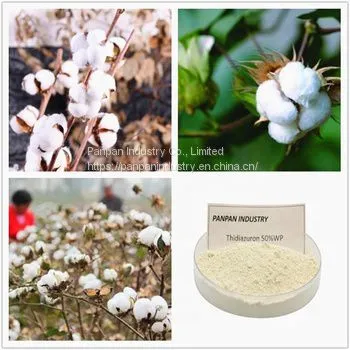 Agriculture Fertilizer Tdz Thidiazuron 50%wp White to Light Yellow Powder photo-2