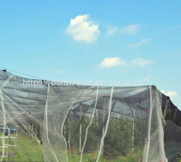 Special Crop Cover Plant Protection Fabric Insect Netting Various Sizes