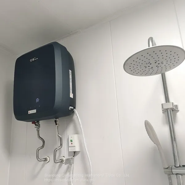 8l 10l 12l 16l Boiler Wall Mounted Calentador de Agua a Gas Mini Gas Water Heater Digital Constant Gaz Gas Water Heater photo-4
