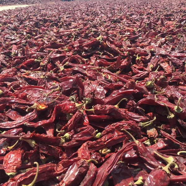 Qingdao Doana Import&Export Co., Ltd company overview - view 1