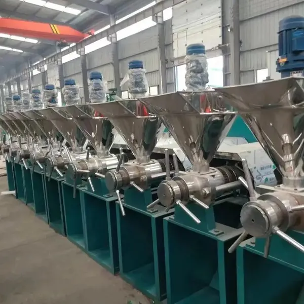 Multi Functional Screw Oil Press Machine With Oil Filtration System and Spare Parts photo-3