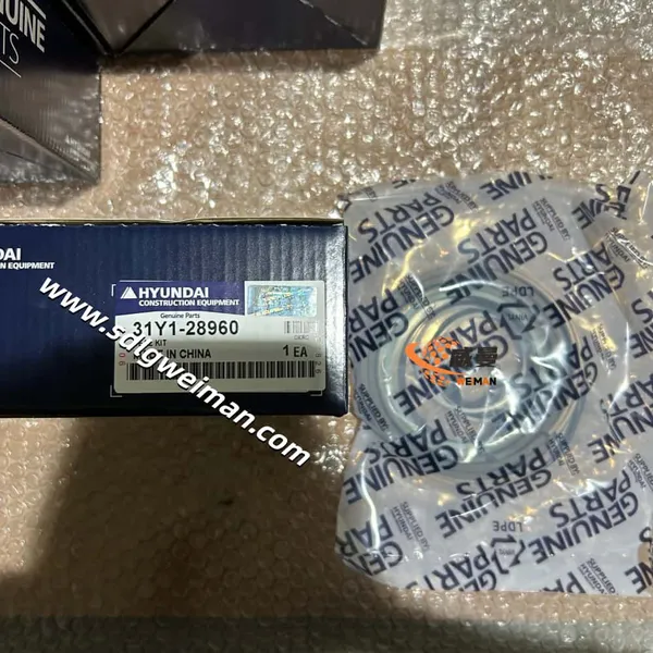 Hyundai Seal Kit (Boom) 31Y1-28960 for Hyundai Excavator R210W-9 photo-2