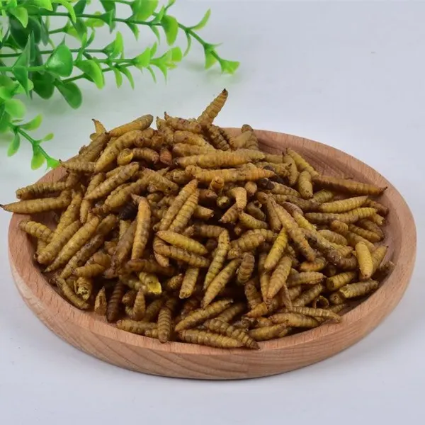YiHealth Dried Mealworm (Tenebrio Molitor Larva) photo-2