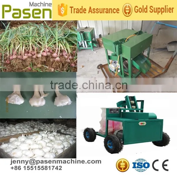 Cheap Price and Very Useful Garlic Tail and Stem Cutting Machine/garlic Processing Machine/garlic Root Cutting Machine photo-2