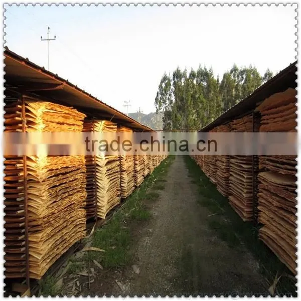Knotty Pine Wood Rotary Veneer White Cheap Wood Veneer photo-3