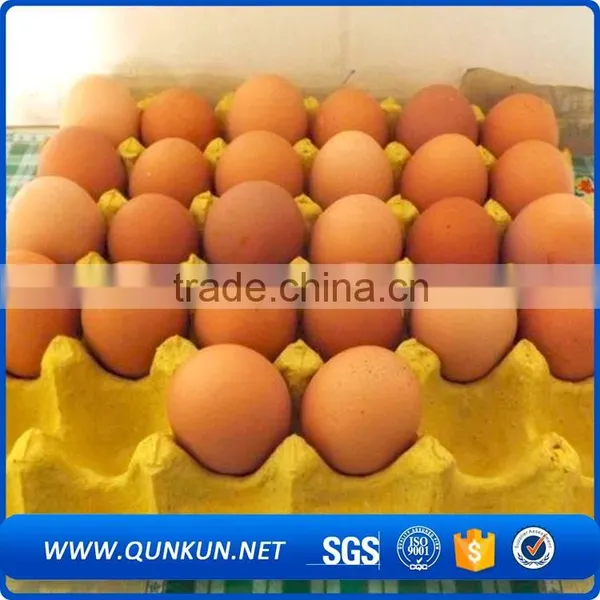 Hot Selling High Quality Paper Pulp Tray photo-4