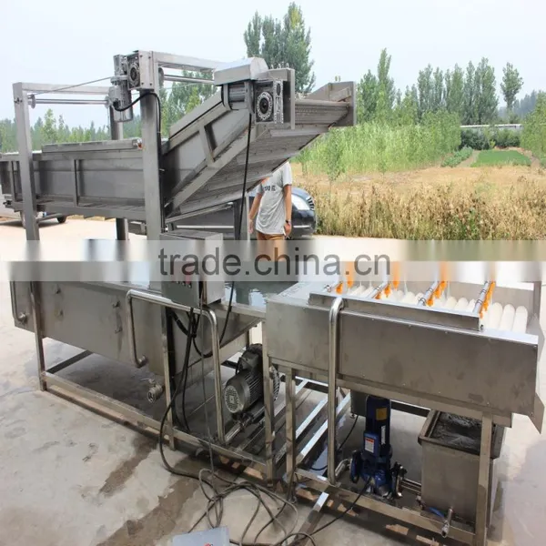Complete Line Potato Chips Making Machine photo-2
