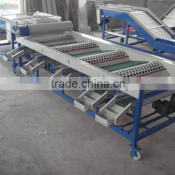 Blueberry Sorting Machine photo-4